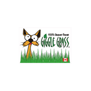 Giggle Grass